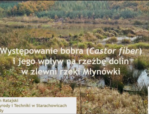 Wykład „Występowanie bobra (Castor fiber) i jego wpływ na rzeźbę dolin w zlewni rzeki Młynówki”