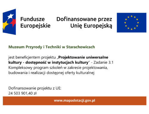 Zadanie 3.1. Kompleksowy program szkoleń w zakresie projektowania, budowania i realizacji dostępnej oferty kulturalnej. Spotkanie informacyjne – 29 stycznia 2026