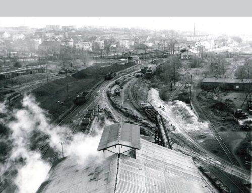 Rocznik Muzeum Przyrody i Techniki w Starachowicach Nr 2/2025