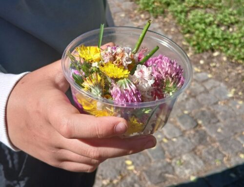 Warsztaty „Perfumy z łąk i lasów – gdzie kryją się zapachy w przyrodzie?