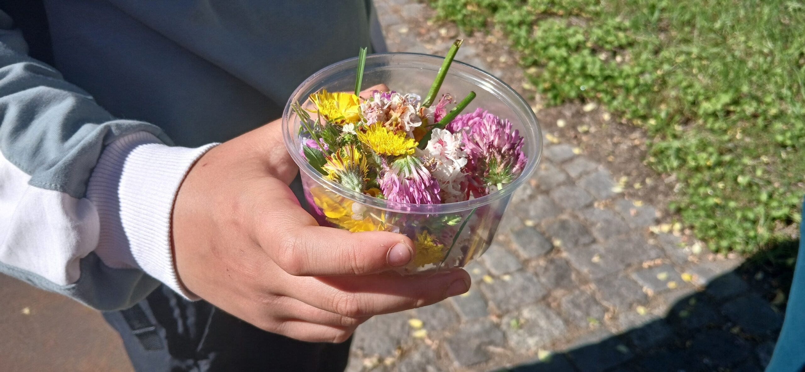 Warsztaty „Perfumy z łąk i lasów – gdzie kryją się zapachy w przyrodzie?